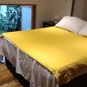 Apartamento Parrot House San Antonio, Cali